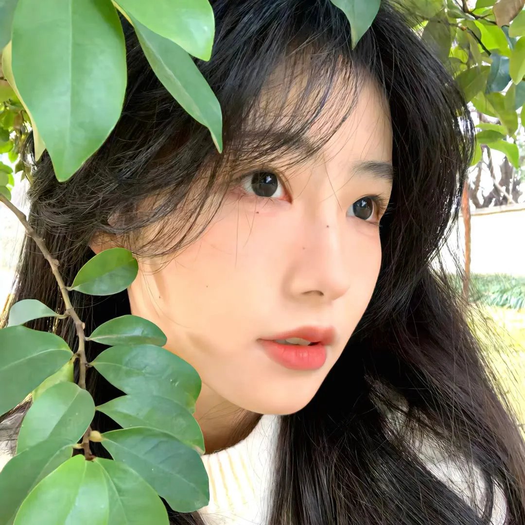 追随者2021